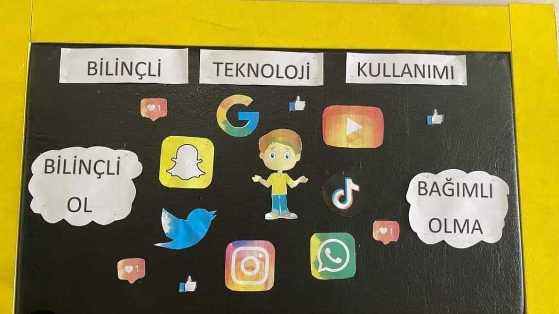 Türkiye Bağımlılıkla Mücadele Eğitimi Programı 